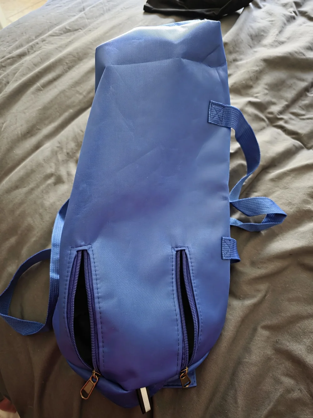 Pet Cat Or Small Dog Carrying Harness Tote - Bright Blue